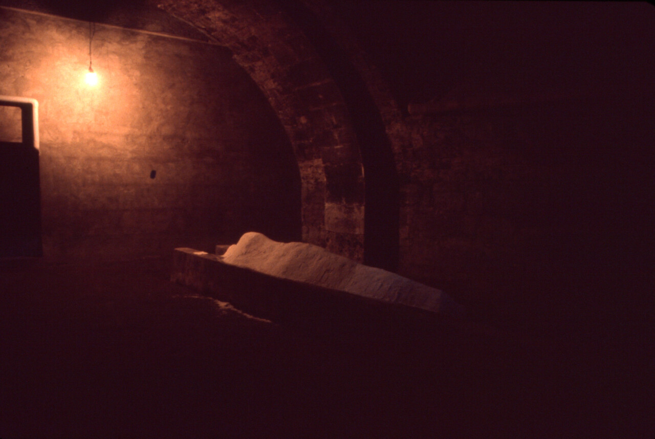 Fri-Art'81 image