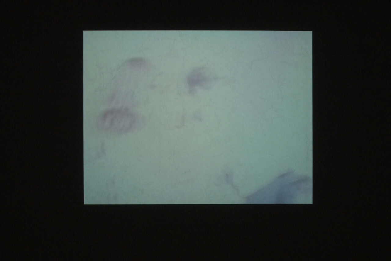 Paysages avec objets absents image