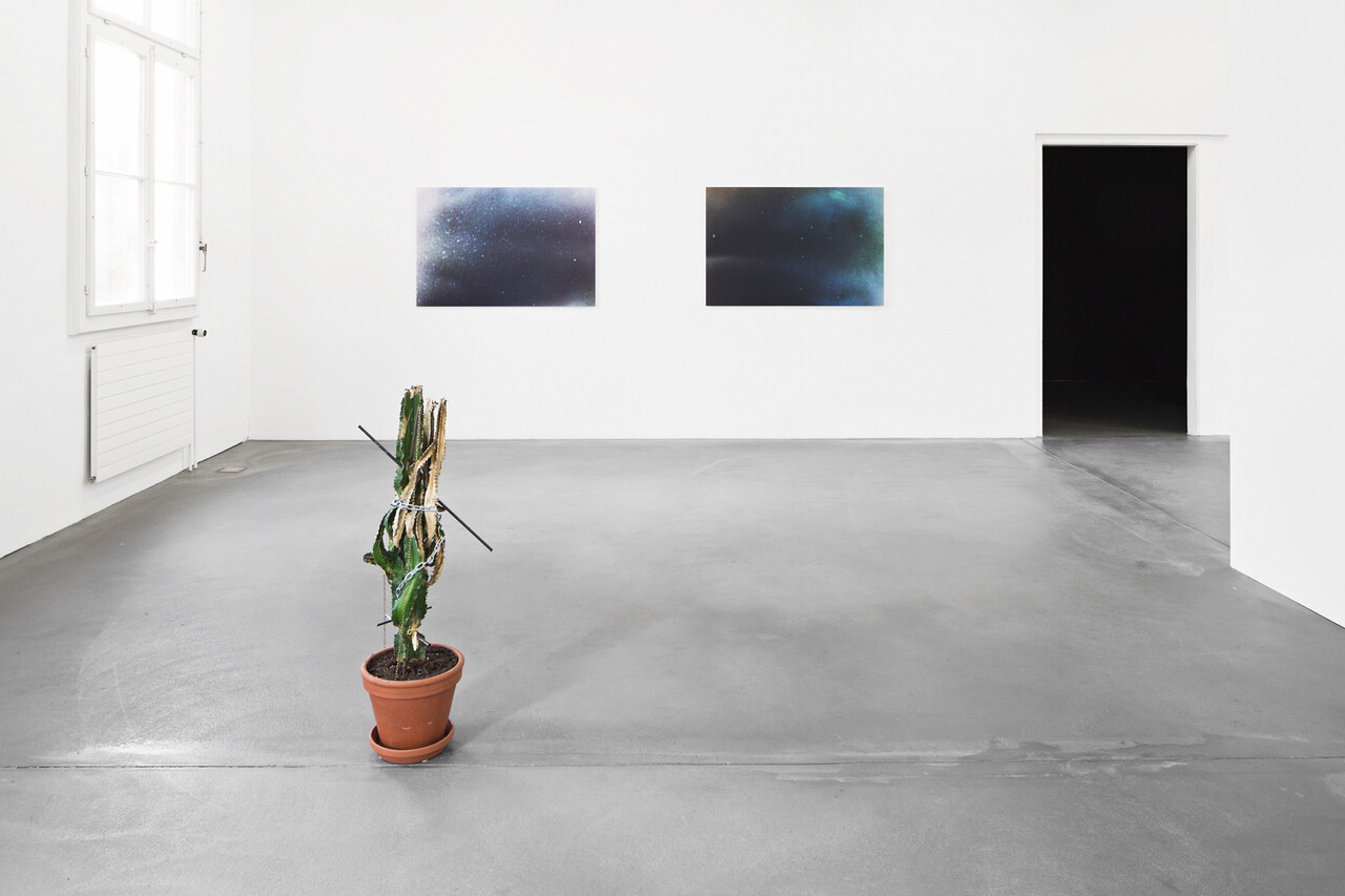 J&eacute;r&ocirc;me Berbier, David Br&uuml;lhart, Stefanie Mauron, Lauris Paulus, Laurie Vannaz, J&eacute;r&eacute;my Wuthrer Cuany image