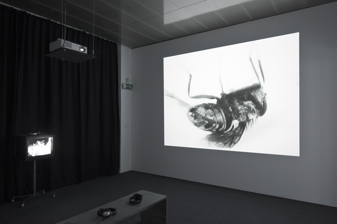 Film Implosion ! Experiments in Swiss Cinema and Moving Images image