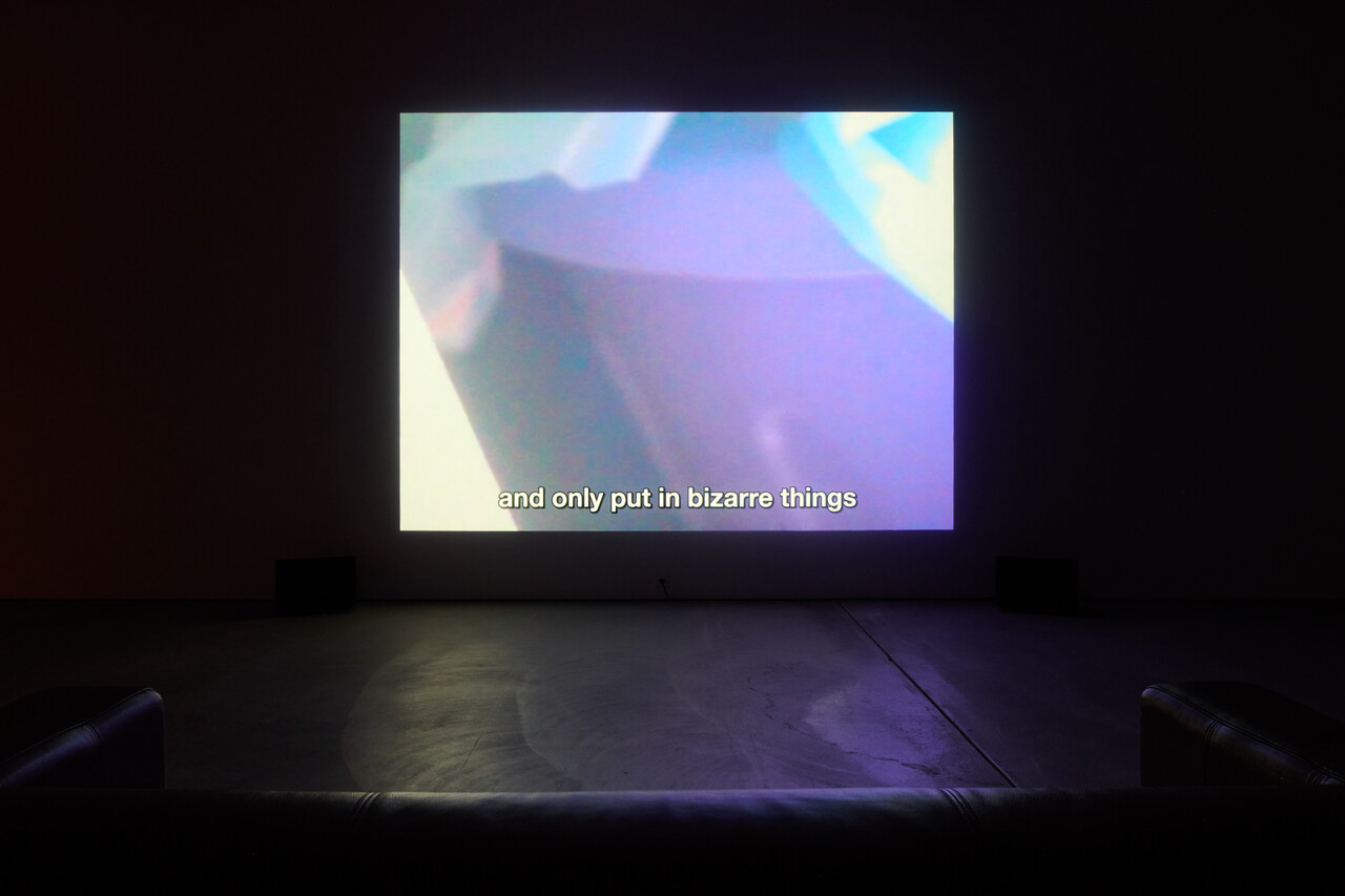 Les films de Guillaume Dustan image