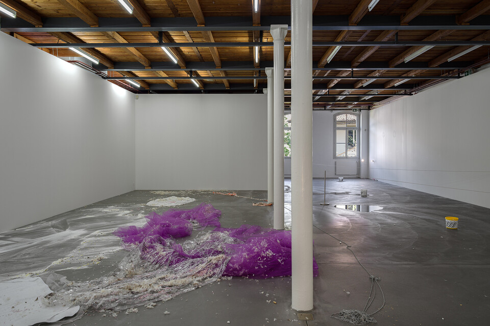 Jason Dodge image