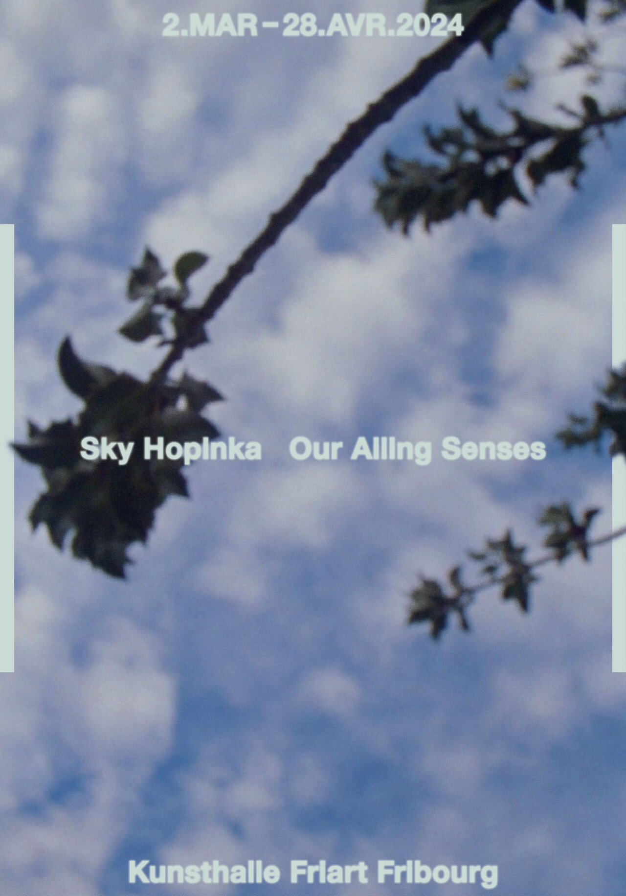 Affiche Sky Hopinka image