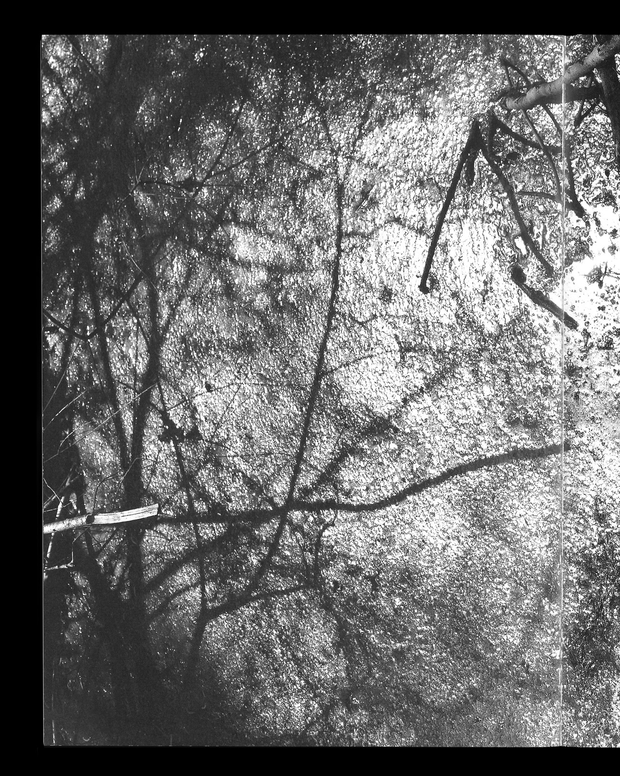C&eacute;cile Monnier, des nuits sans silence image
