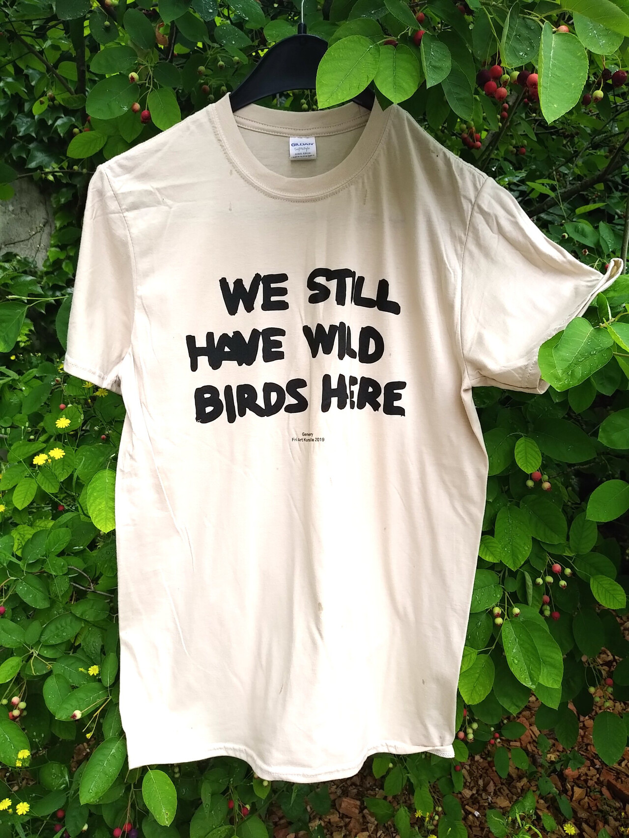Gene Beery, We still have wild birds here image