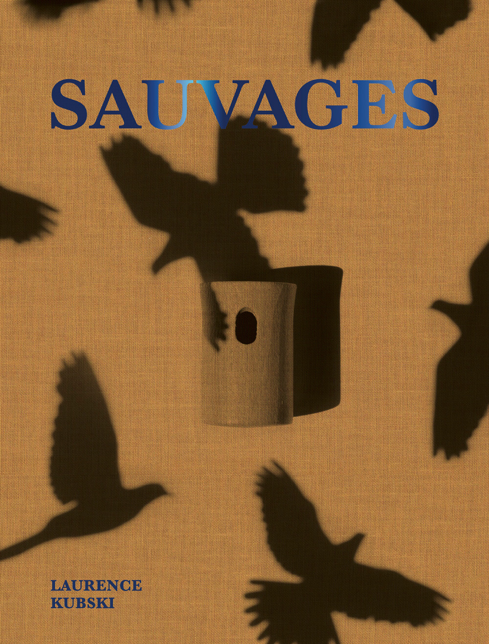 Publication Laurence Kubski image